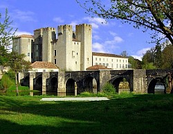 Le pont vieux à 10 arches et le moulin des Tours entre Barbaste & Nérac ©StudioPetitNidCosy